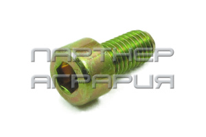 Запчасти для Сеялок Amazone Болт М8х16 8.8 DIN912 крепления киля DA534 фото ООО “Партнер агрария”